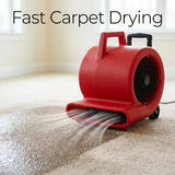 3-Speed Electric Carpet Dryer Air Blower Machine | Portable air mover high volume carpet dryer- BAS Kuwait Bab Al Saif 