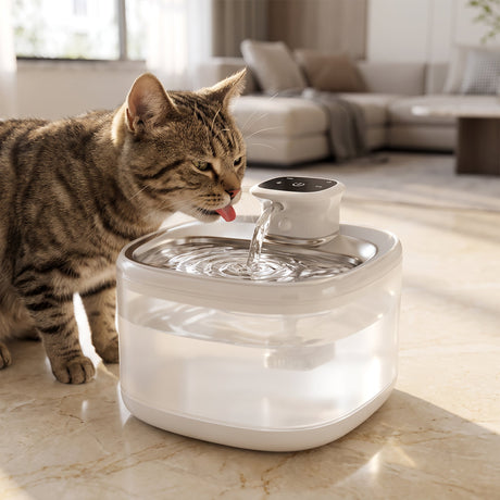 Cat drinking from the 2L automatic pet water fountain on a marble floor in a modern living room