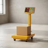 Electronic PLatform Weight Scale 300 kg Dingqi brand - BAS Kuwait Bab Al Saif 