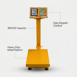 Electronic PLatform Weight Scale 300 kg Dingqi brand - BAS Kuwait Bab Al Saif 