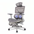 Ergonomic Mesh Office Chair with Massage Lumbar - BAS Kuwait Office Chair Bab Al Saif 