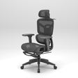 Ergonomic Office Chair with Footrest | Full Mesh, Lumbar Support, Reclining - BAS Kuwait Bab Al Saif 150 KG With Installation 