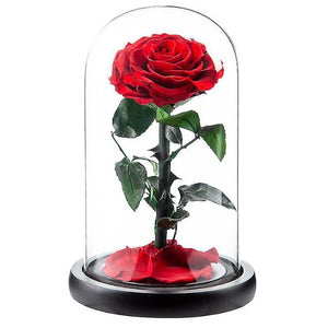 Preserved Roses