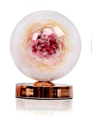 Preserved Peony table lamp in a Glass dome (2) I Gifts for her I Forever Eternal Roses - BAS Kuwait
