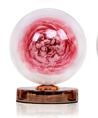 Preserved Peony table lamp in a Glass dome I Gifts for her I Forever Eternal Roses - BAS Kuwait