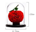 Preserved Rose Ball in a Glass dome I Gifts for her I Forever Eternal Roses - BAS Kuwait Bab Al Saif Red Standard 