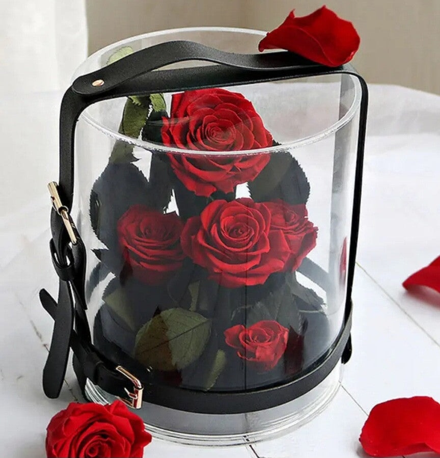 Preserved Rose Garden I 5 Roses in a Glass Dome I Gifts for her I Forever Eternal Roses - BAS Kuwait Bab Al Saif Red Standard 