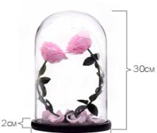 Preserved Roses I 2 heart shaped Roses in a Glass Dome I Gifts for her I Forever Eternal Roses - BAS Kuwait Bab Al Saif Red Standard 