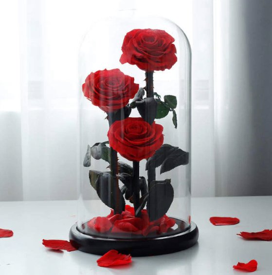 Preserved Roses I 3 Roses in a Glass Dome I Gifts for her I Forever Eternal Roses - BAS Kuwait Bab Al Saif Red Standard 