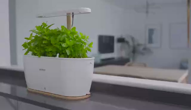 Smart Indoor Plant Pot Self Watering with App & Bluetooth Control – Automatic Indoor Planting System App Controlled - BAS Kuwait
