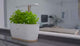 Smart Indoor Plant Pot Self Watering with App & Bluetooth Control – Automatic Indoor Planting System App Controlled - BAS Kuwait