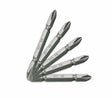 Screw Driver Bit Drilling Tool High Quality DINGQI BRAND - BAS Kuwait Bab Al Saif Standard Standard 
