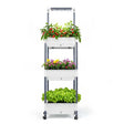 Self-Watering 3-Layer Indoor Gardening Rack with LED Grow Lights | Indoor Plants Growing System - BAS Kuwait Bab Al Saif 