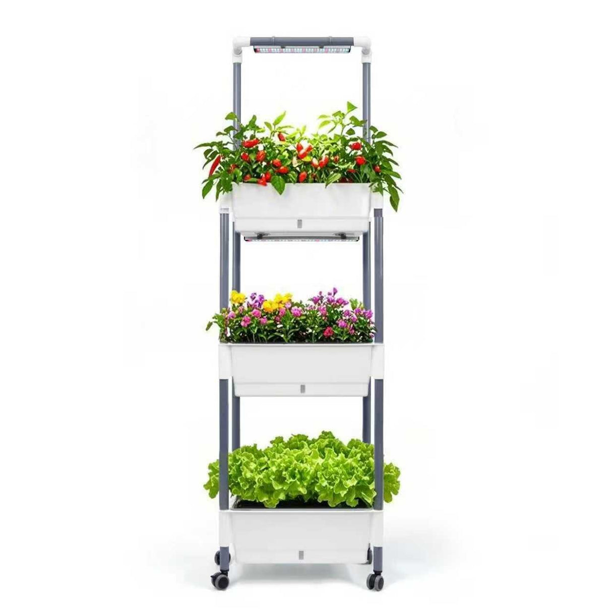 Self-Watering 3-Layer Indoor Gardening Rack with LED Grow Lights | Indoor Plants Growing System - BAS Kuwait Bab Al Saif 