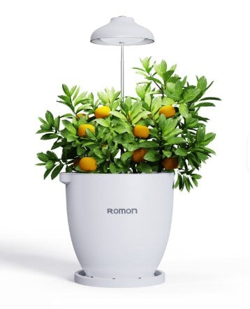 Smart Intelligent Plant Pot Self Watering with App & Bluetooth Control – Automatic Indoor Planting System - BAS Kuwait Bab Al Saif 