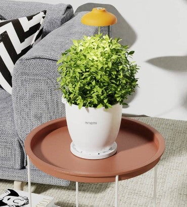 Smart Intelligent Plant Pot Self Watering with App & Bluetooth Control – Automatic Indoor Planting System - BAS Kuwait Bab Al Saif 