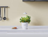 Smart Intelligent Plant Pot Self Watering with App & Bluetooth Control – Automatic Indoor Planting System - BAS Kuwait Bab Al Saif 