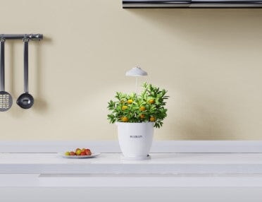 Smart Intelligent Plant Pot Self Watering with App & Bluetooth Control – Automatic Indoor Planting System - BAS Kuwait Bab Al Saif 