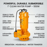 Submersible Clean Water Pump 1 Inch 550W (0.75HP) DINGQI BRAND - BAS Kuwait Bab Al Saif 